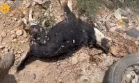 قتل‌عام تهران اینگونه بود؛ چه کسی پاسخگوست؟
