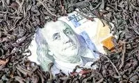 دلارهای چای دبش، خرج خرید ویلا در دبی و اسپانیا شد!