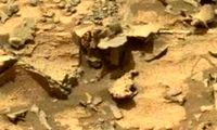 تصویر کاوشگر ناسا که از مریخ به زمین فرستاد