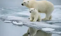 اتفاقی که به زودی موجودات باستانی را زنده می‌کند