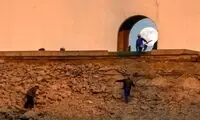 چمن ورزشگاه آزادی هیبریدی می‌شود