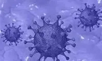 واکنش مهم وزارت بهداشت درباره شیوع آبله میمونی
