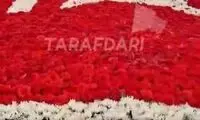 200 هزار شاخه گل برای لوگوی تراکتور!