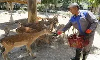 منوی میلیاردی غذای حیوانات باغ‌وحش تهران