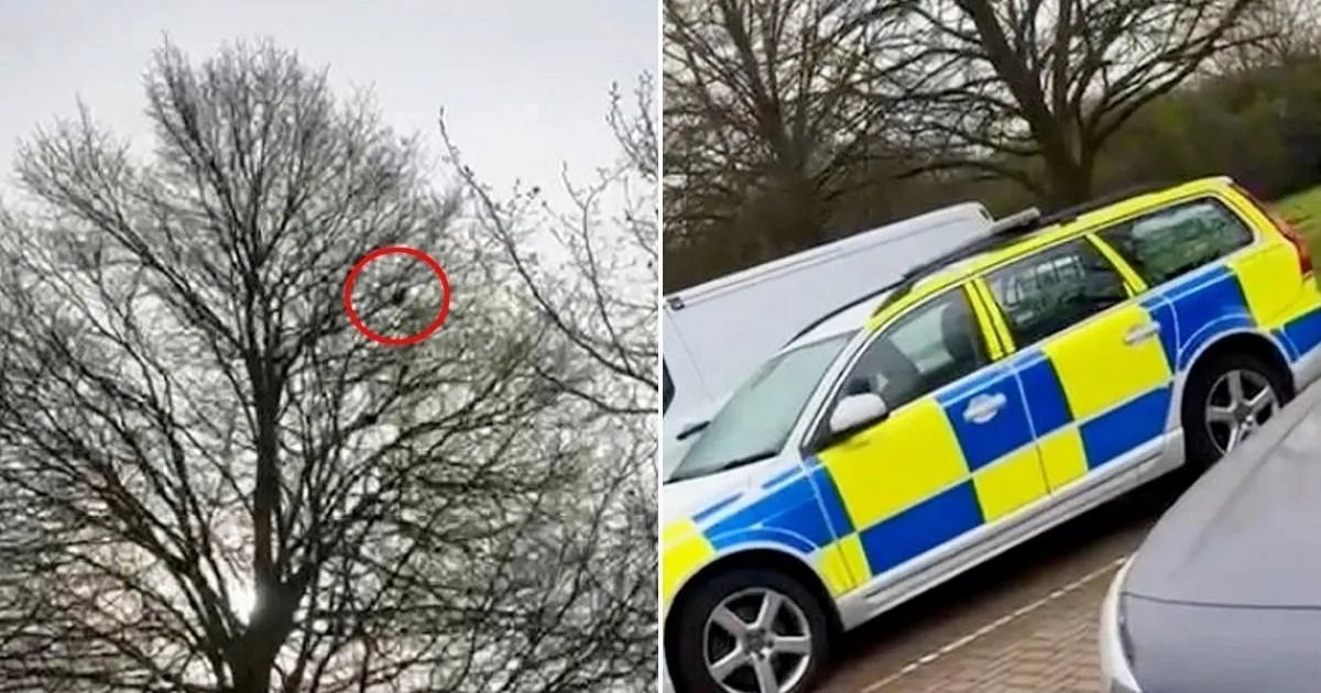 پرنده‌ای که افسران پلیس را حیرت‌زده کرد