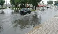واکنش بامزه یک هموطن شیرازی به بارش باران رگباری