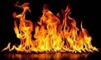 ویدئویی با بازدید میلیونی که شگفت‌زده‌تان می‌کند