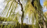 پیش‌بینی هوای تهران طی پنج روز آینده