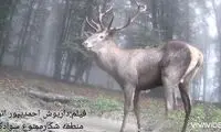 امیدواریم آخرین نسل شنونده این صدای زیبا نباشیم