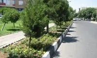 اقدام خلاقانه شهرداری برای حفاظت از گل‌ها در شهر