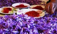 قیمت جدید زعفران اعلام شد