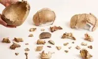 رسم ترسناک مردمی که هزاران سال پیش در اروپا زندگی می‌کردند