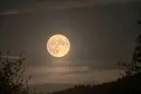 امشب چشم از آسمان برندارید