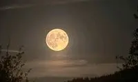 امشب چشم از آسمان برندارید