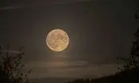 امشب چشم از آسمان برندارید