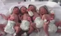 پدر 29 ساله به اصرار همسرش صاحب 4 قلو شد