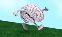 پادزهری طبیعی برای پیشگیری از پیری و آلزایمر