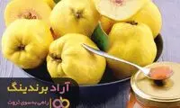 زنان موفق دنیا از عادات روزانه شان می گویند