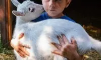 مراقب حرف زدنتان مقابل بزها باشید!