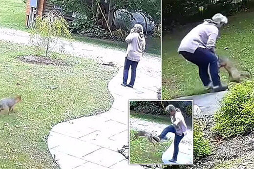 لحظه هولناک حمله به یک زن در حیاط خانه‌اش