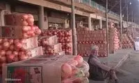 بزرگترین صادرکننده انار جهان را بشناسید