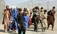 کاسبی جدید از طریق افغان‌ها در ایران 
