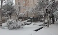برف به این شکل بجنوردی‌ها را غافلگیر کرد
