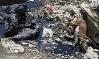 اینجا کوهی از زباله‌ها دارد خاک می‌خورد!