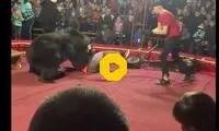 حمله خرس سیرک به مربی‌اش مقابل تماشاچیان