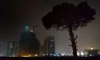 تصویری از قتل عام درختان درخیابان جردن
