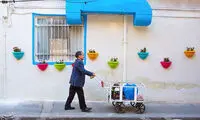 آمار عجیب شهرداری تهران از درخواست دیوارپاکنی