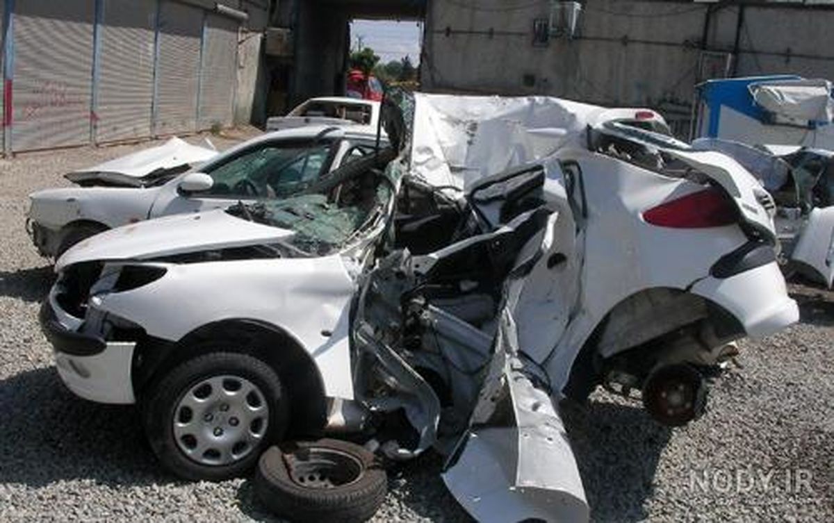 ویدئو عجیبی که از یک پژو 206 در شیراز شکار شد