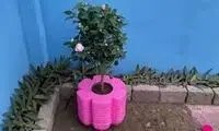  نحوه ساخت یک گلدان زیبا و ارزان با بطری