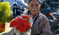 حال و هوای بازار گل محلاتی در آستانه نوروز باستانی