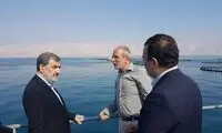 راهکار محسن رضایی برای کنترل و کاهش قیمت گوشت 
