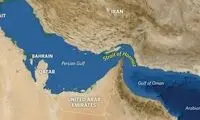 تصویری دردناک از آسیب رساندن به خلیج فارس