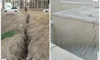 بلایی که کشت برنج‌ بر سَر تخت جمشید آورد!
