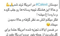 رائفی‌پور و رضایی طرفدار تجزیه آمریکا شدند!