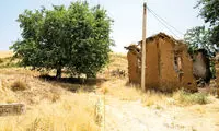 دو همسایه، تنها ساکنان «کوتان»