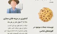 اینفوگرافی: 18 شغل عجیب که درآمدی عالی دارند