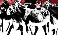 پوستر جدید مصادره