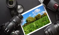 روز جهانی عکاسی؛ تاثیرگذارترین عکس های ثبت شده در تاریخ