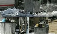 انباشت زباله‌های تهران در روز برفی