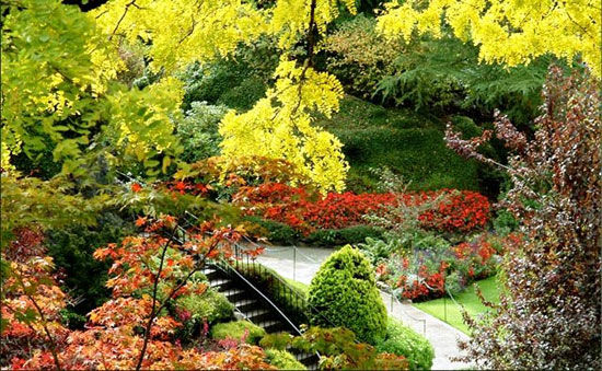 عکس های جادویی از بزرگترین باغ گل دنیا
