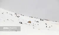 پیست برفی فریدون شهر