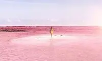 تالاب صورتی مکزیک یکی از زیباترین نقاط جهان