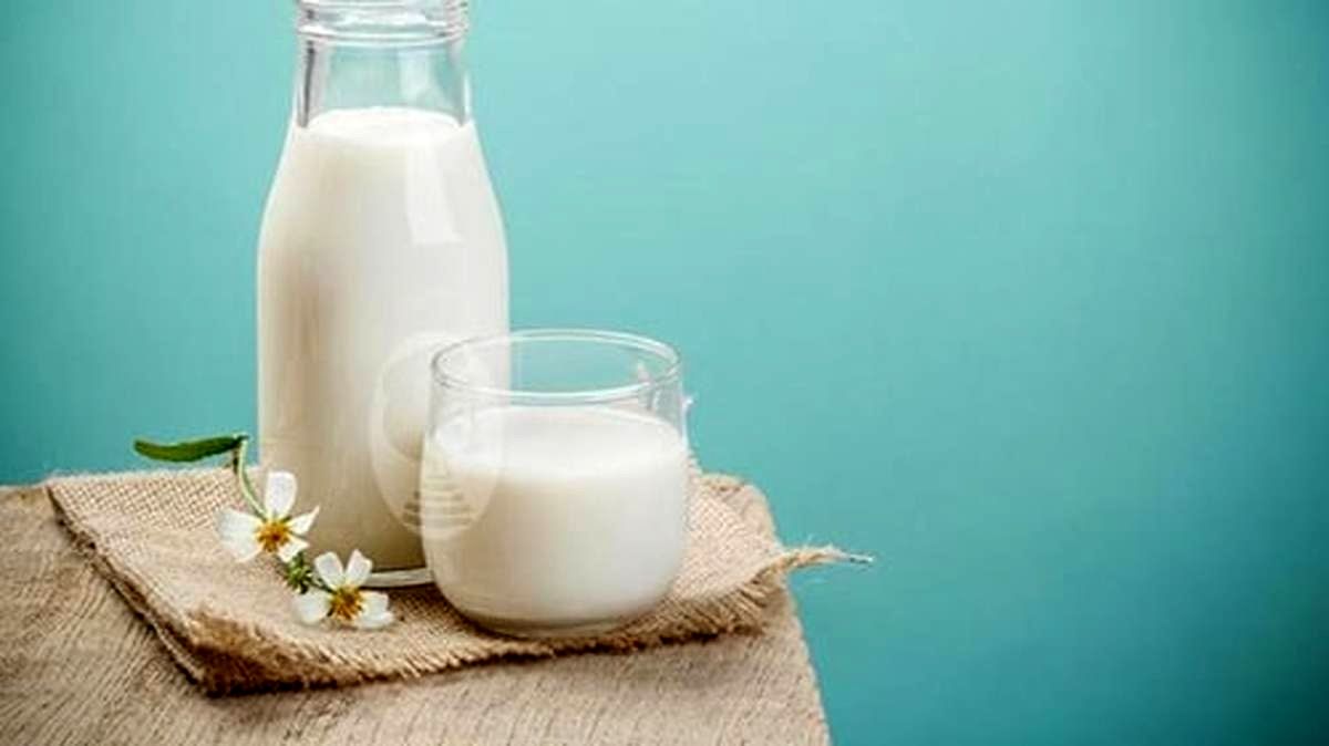 عوارض شیر کامل برای سالمندان که نمی‌دانستید 