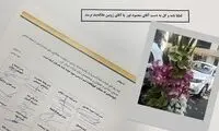 پیشنهاد همکاری اسنپ به مدیران تپ‌سی