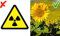 حقایق علمی عجیبی که احتمالا نمی‌دانستید