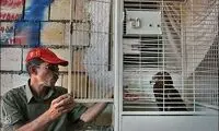 در بیمارستان حیوانات محبوب تر از انسانند!